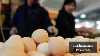 荣耀新品发,电竞战队备,战春季赛,买球赔率,BALL买球官网,体育赔率查询,盘口走势